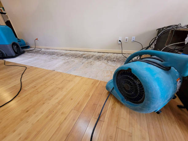 Reliable Crawl Space Water Removal contractor in Atlantic Beach, NC by Hirex Water Damage