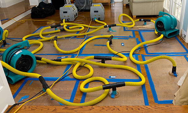 Professional Crawl Space Water Removal technician working in Atlantic Beach, NC